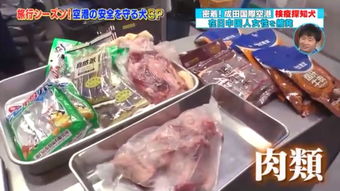 日本海關(guān)嚴(yán)查入境違禁品，肉制品及假名牌成重點(diǎn)目標(biāo)